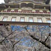 ヒメ日記 2025/04/05 09:57 投稿 ひめ 熟女家 梅田店