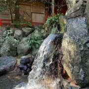 ヒメ日記 2025/04/19 10:05 投稿 ひめ 熟女家 梅田店