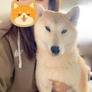 ヒメ日記 2025/04/21 12:06 投稿 つきの 癒し妻 札幌店