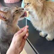 ヒメ日記 2025/09/28 17:16 投稿 つきの 癒し妻 札幌店