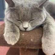 ヒメ日記 2025/11/03 14:36 投稿 つきの 癒し妻 札幌店