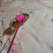 ヒメ日記 2025/12/04 09:16 投稿 つきの 癒し妻 札幌店