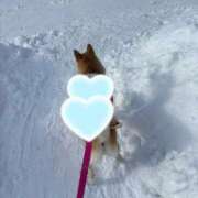 ヒメ日記 2026/01/18 13:46 投稿 つきの 癒し妻 札幌店