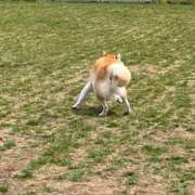 ヒメ日記 2026/05/13 14:36 投稿 つきの 癒し妻 札幌店