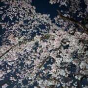 ヒメ日記 2025/04/12 22:43 投稿 なつき 手コキガールズコレクション