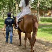 ヒメ日記 2025/07/29 23:31 投稿 高町いお Lihtways（ライトウェイズ）