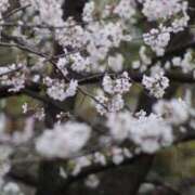 ヒメ日記 2025/04/19 19:33 投稿 りこ ギン妻パラダイス 十三店