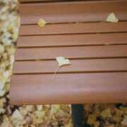 ヒメ日記 2025/11/26 20:03 投稿 りこ ギン妻パラダイス 十三店