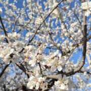 琴海【ことみ】 出勤頑張らなきゃ 丸妻 西船橋店