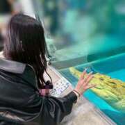 ヒメ日記 2025/03/29 10:11 投稿 ひなた ぷるるん小町 京橋店