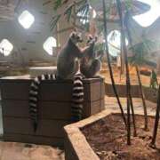 ヒメ日記 2025/03/30 11:40 投稿 ひなた ぷるるん小町 京橋店