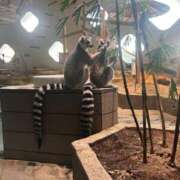 ヒメ日記 2025/03/30 11:54 投稿 ひなた ぷるるん小町 京橋店