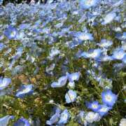 ヒメ日記 2025/05/06 19:53 投稿 ひなた ぷるるん小町 京橋店