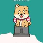 ヒメ日記 2025/09/23 09:54 投稿 ひなた ぷるるん小町 京橋店