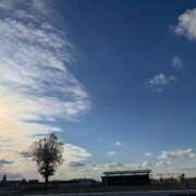 ヒメ日記 2025/11/19 16:45 投稿 ひなた ぷるるん小町 京橋店