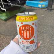 ひなた ごめんなさい💦 ぷるるん小町 京橋店