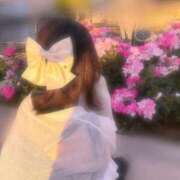 ヒメ日記 2026/05/20 21:38 投稿 ひなた ぷるるん小町 京橋店