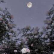 ヒメ日記 2025/08/16 05:39 投稿 月姫【カグヤ】 BLENDA V.I.P東京店