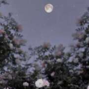 ヒメ日記 2025/09/15 09:07 投稿 月姫【カグヤ】 BLENDA V.I.P東京店