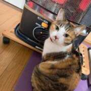 ヒメ日記 2025/02/22 21:09 投稿 あん 虹色メロンパイ 横浜店