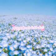 ヒメ日記 2025/05/14 23:23 投稿 あん 虹色メロンパイ 横浜店