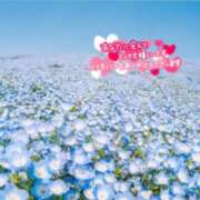 ヒメ日記 2025/05/16 22:48 投稿 あん 虹色メロンパイ 横浜店