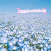 ヒメ日記 2025/06/13 23:47 投稿 あん 虹色メロンパイ 横浜店