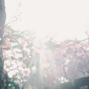 ヒメ日記 2025/07/01 00:00 投稿 あん 虹色メロンパイ 横浜店