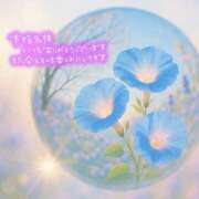 ヒメ日記 2025/07/12 23:50 投稿 あん 虹色メロンパイ 横浜店