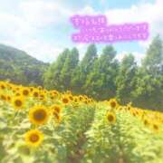 ヒメ日記 2025/08/04 23:02 投稿 あん 虹色メロンパイ 横浜店