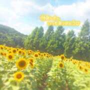 ヒメ日記 2025/08/15 23:56 投稿 あん 虹色メロンパイ 横浜店