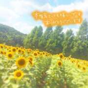 ヒメ日記 2025/08/20 22:42 投稿 あん 虹色メロンパイ 横浜店