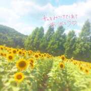 ヒメ日記 2025/08/30 23:09 投稿 あん 虹色メロンパイ 横浜店