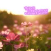 ヒメ日記 2025/09/23 23:18 投稿 あん 虹色メロンパイ 横浜店