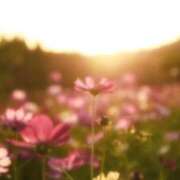 ヒメ日記 2025/10/07 23:20 投稿 あん 虹色メロンパイ 横浜店