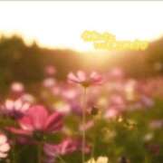 ヒメ日記 2025/10/12 00:19 投稿 あん 虹色メロンパイ 横浜店