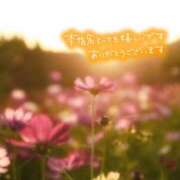 ヒメ日記 2025/10/19 23:45 投稿 あん 虹色メロンパイ 横浜店