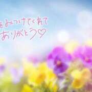 ヒメ日記 2025/11/15 23:36 投稿 あん 虹色メロンパイ 横浜店