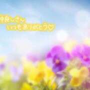 ヒメ日記 2025/11/18 23:25 投稿 あん 虹色メロンパイ 横浜店