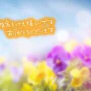 ヒメ日記 2025/11/19 23:17 投稿 あん 虹色メロンパイ 横浜店