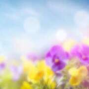 ヒメ日記 2025/11/28 10:30 投稿 あん 虹色メロンパイ 横浜店