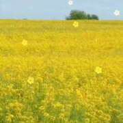 ヒメ日記 2025/09/25 16:24 投稿 菜々子（ななこ） PLUS難波店