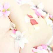 ヒメ日記 2024/12/22 16:13 投稿 あみる CLUB DEEP 博多