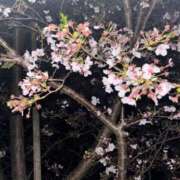 ヒメ日記 2025/04/10 19:43 投稿 あみる CLUB DEEP 博多