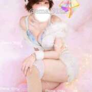 ヒメ日記 2025/09/27 09:03 投稿 えま ニューグランド