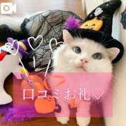 ヒメ日記 2025/10/11 17:02 投稿 えま ニューグランド