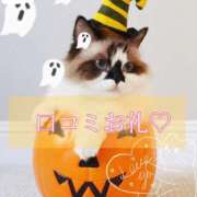 ヒメ日記 2025/10/18 17:23 投稿 えま ニューグランド