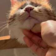 ヒメ日記 2025/10/24 14:53 投稿 えま ニューグランド