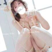 ヒメ日記 2025/11/15 16:53 投稿 えま ニューグランド