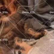 ヒメ日記 2025/12/22 22:00 投稿 えま ニューグランド